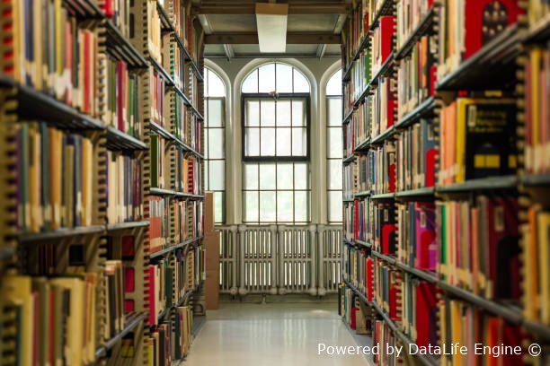 Читати найкращі книжки українською мовою безкоштовно на сайті ekniga.club